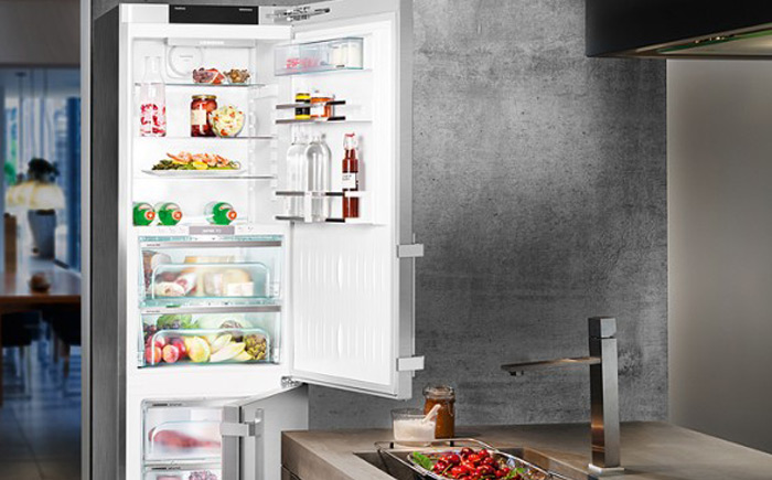 brand-liebherr-freezer-inset