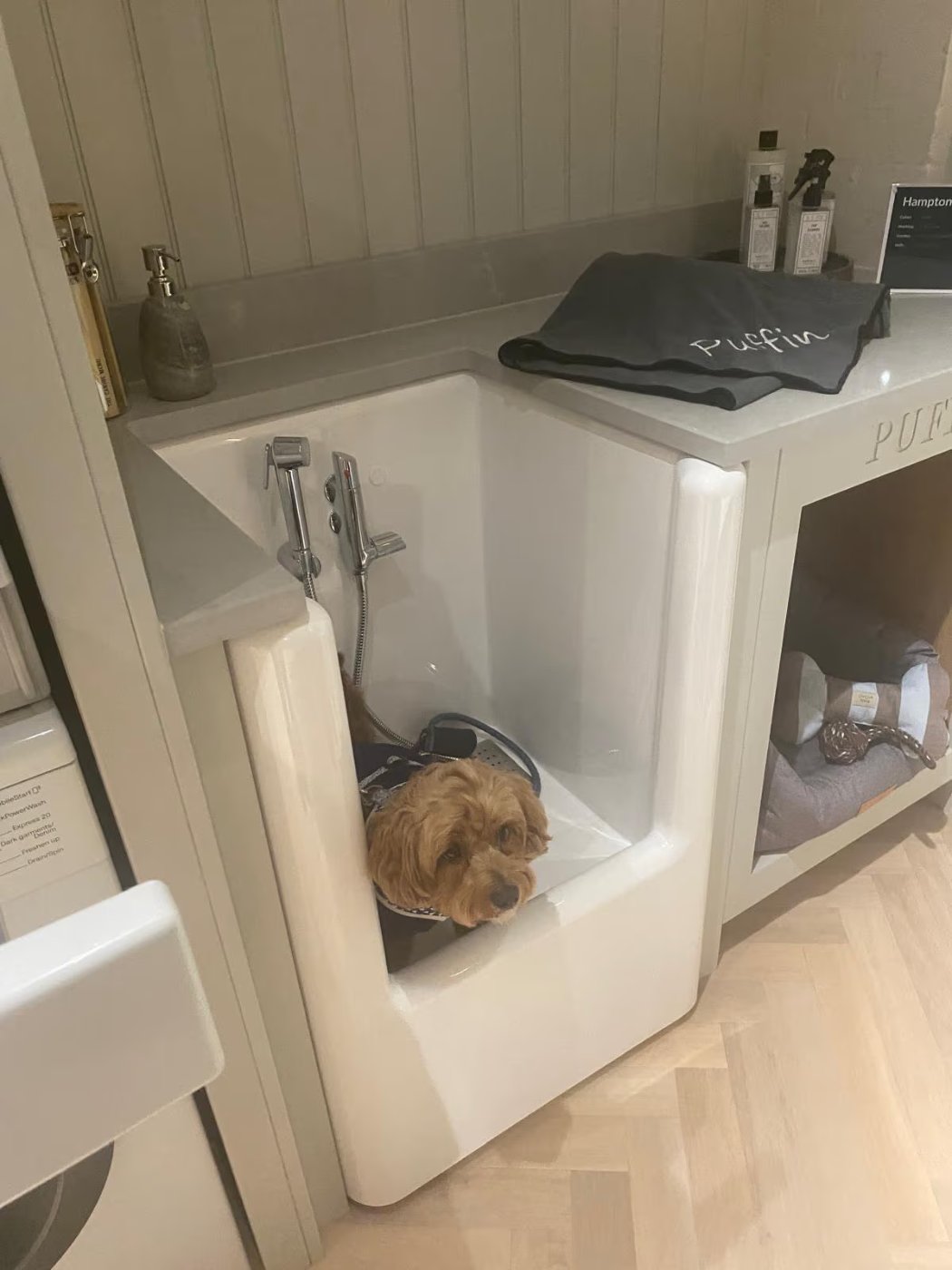 Dog shower boot room